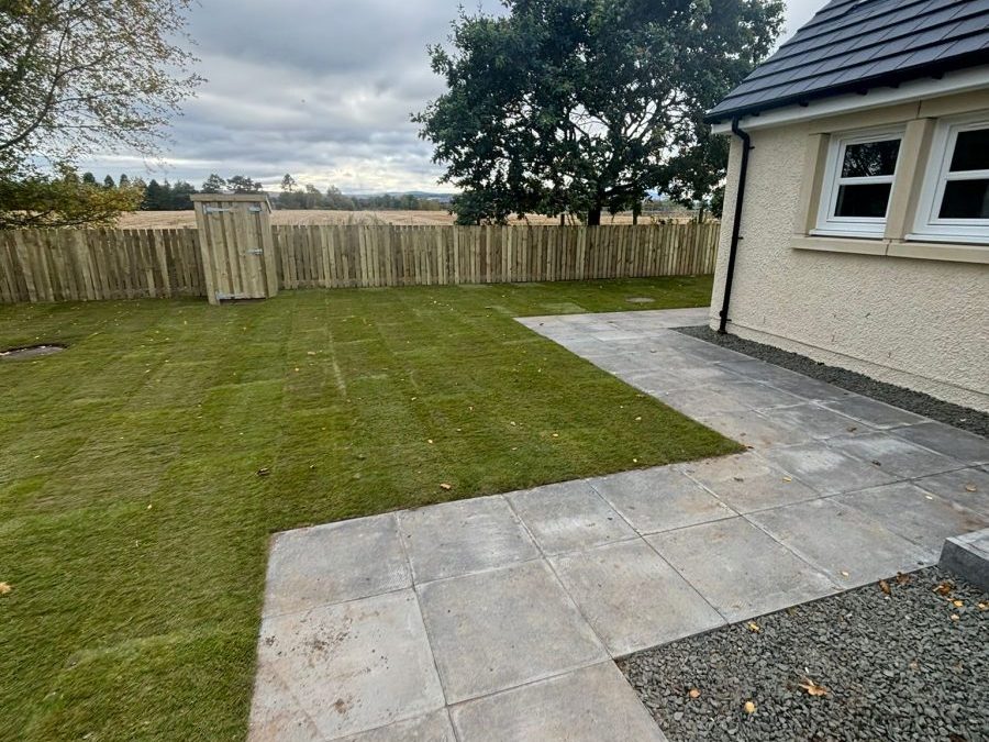 From Patchy Lawn to Outdoor Living Space: A Landscaping Rethink